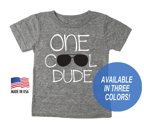 One Cool Dude Tri-blend First Birthday T-shirt  - Baseball Shirt for 1st Birthday - Infant and Toddler sizes