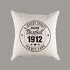 Boston Red Sox Baseball Natural Canvas Pillow or Pillow Cover - Fenway Park - Home Decor - Man Cave - Farmhouse - Gift